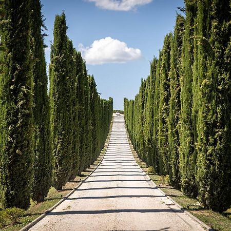 Fattoria Colsanto Villa Torre del Colle ภายนอก รูปภาพ