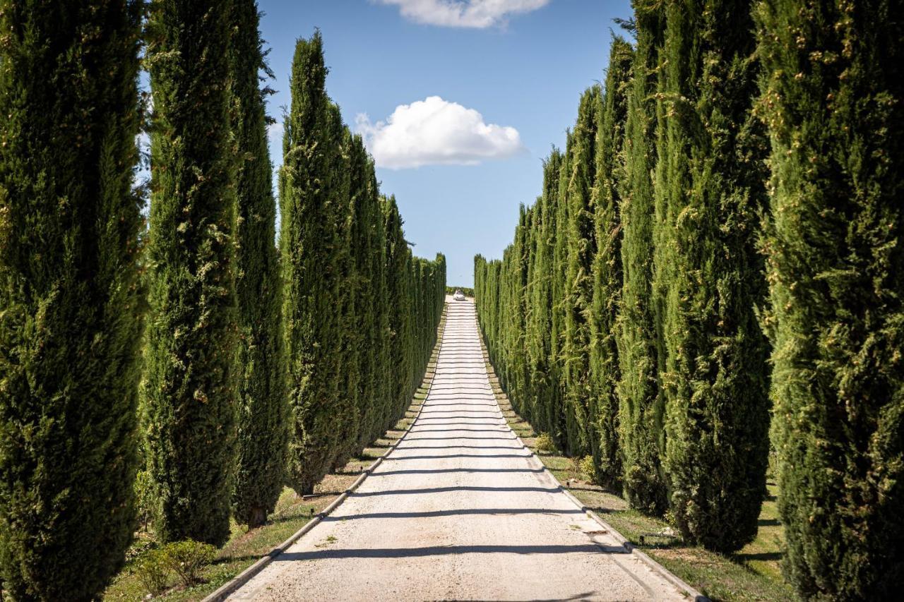 Fattoria Colsanto Villa Torre del Colle ภายนอก รูปภาพ